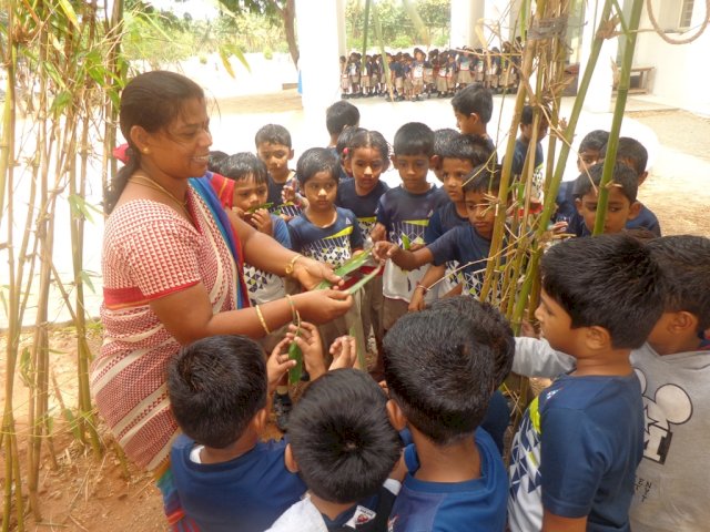 Mud pies- Leaves : Children observed different shades and shapes of leaves . They sorted leaves from small to big.They enjoyed making an art out of collected leaves.